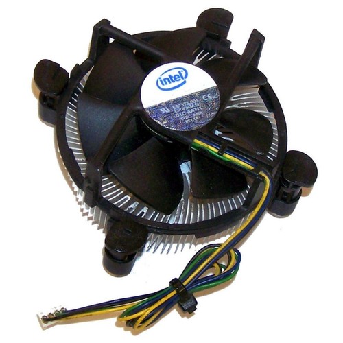 Prozessor kühler intel - kühler,
